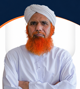 RS Image